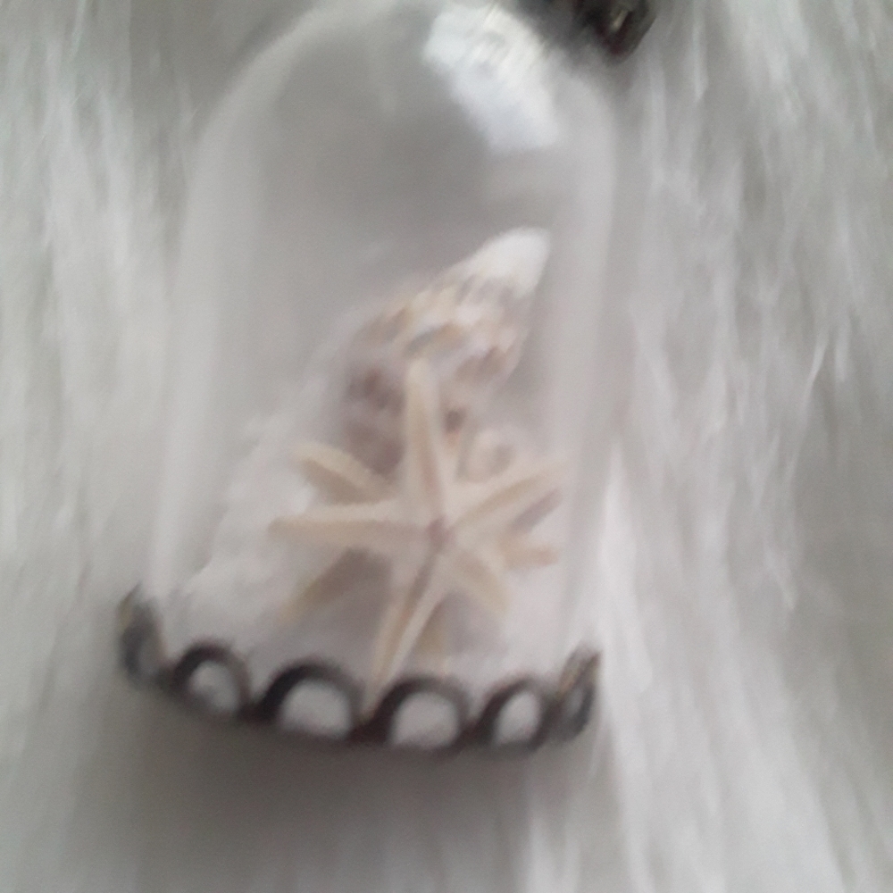 🔥Glass case with seashells and starfish necklace